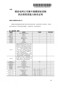 國網備案