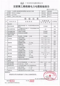 產品檢驗報告